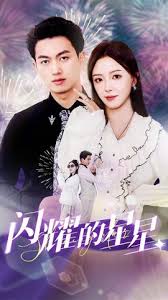 闪耀的星星&盛总你找错白月光了